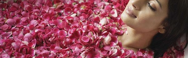 Bannière Article prendre son bain dans fleur d'hibiscus